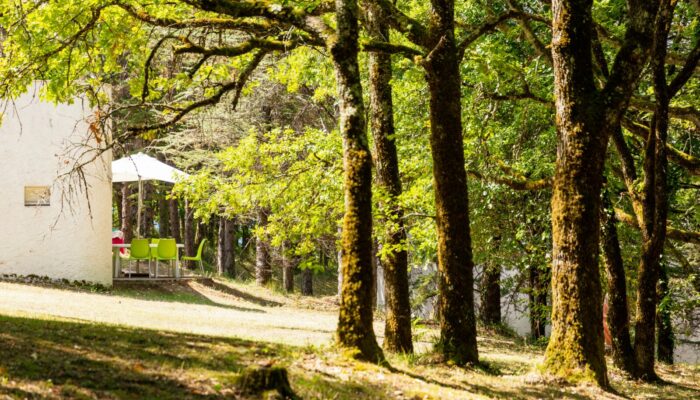 CRTLOccitanie_0030193_MD Villages vacances - LES BOIS DE PRAYSSAC - PRAYSSAC - Photo Herve Leclair aspheries